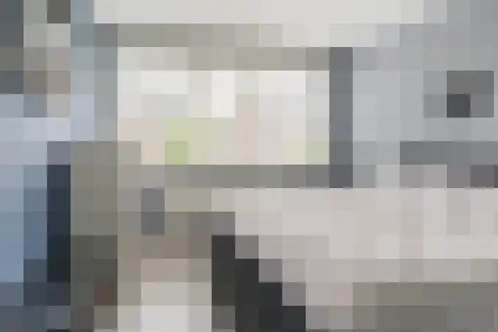 Kastanjelaan 188 Halsteren thumbnail 28
