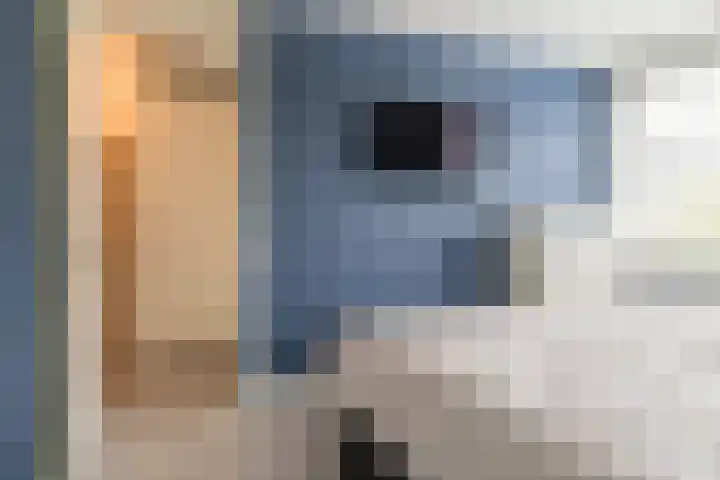 Kastanjelaan 188 Halsteren thumbnail 29