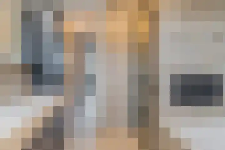 Kastanjelaan 188 Halsteren thumbnail 31