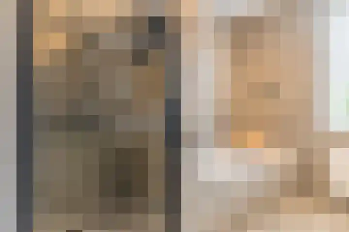 Kastanjelaan 188 Halsteren thumbnail 32