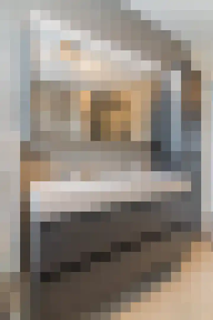 Kastanjelaan 188 Halsteren thumbnail 34