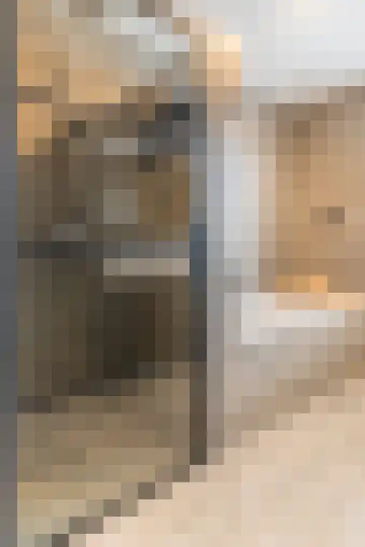 Kastanjelaan 188 Halsteren thumbnail 35
