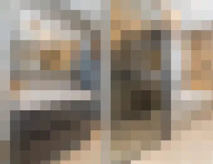 Kastanjelaan 188 Halsteren thumbnail 36