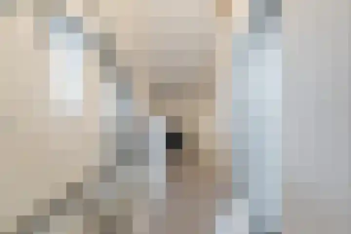 Kastanjelaan 188 Halsteren thumbnail 39