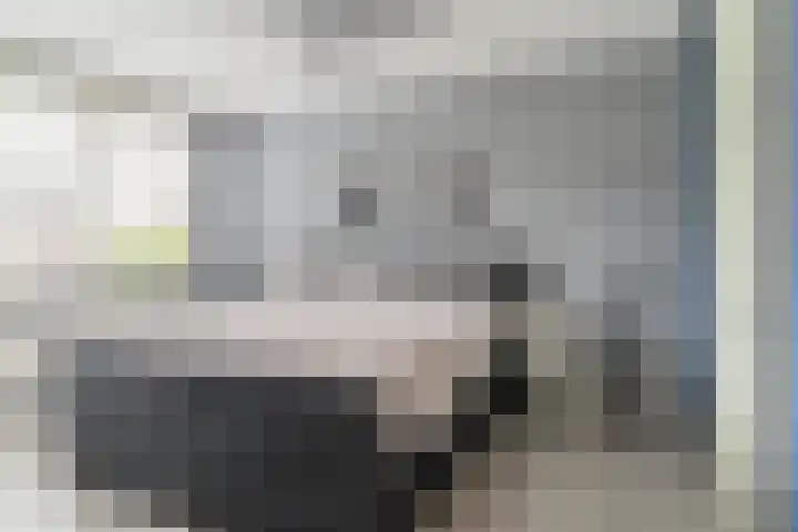 Kastanjelaan 188 Halsteren thumbnail 4