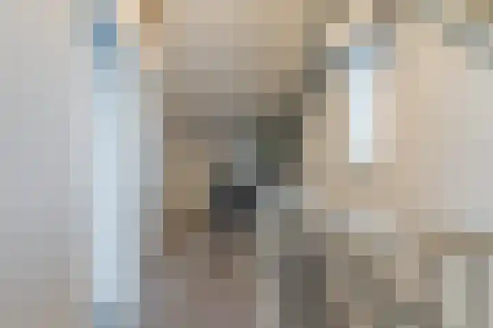 Kastanjelaan 188 Halsteren thumbnail 40