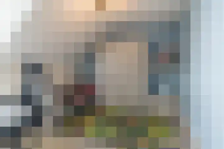 Kastanjelaan 188 Halsteren thumbnail 42