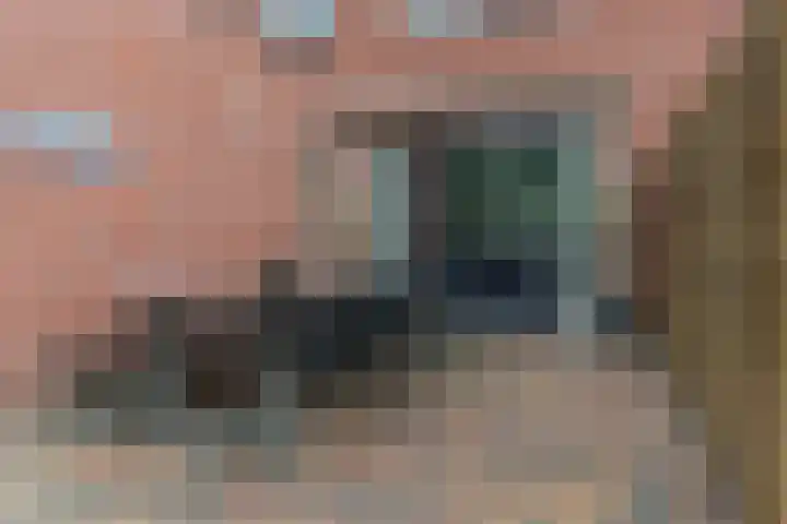 Kastanjelaan 188 Halsteren thumbnail 46