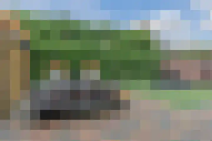 Kastanjelaan 188 Halsteren thumbnail 50