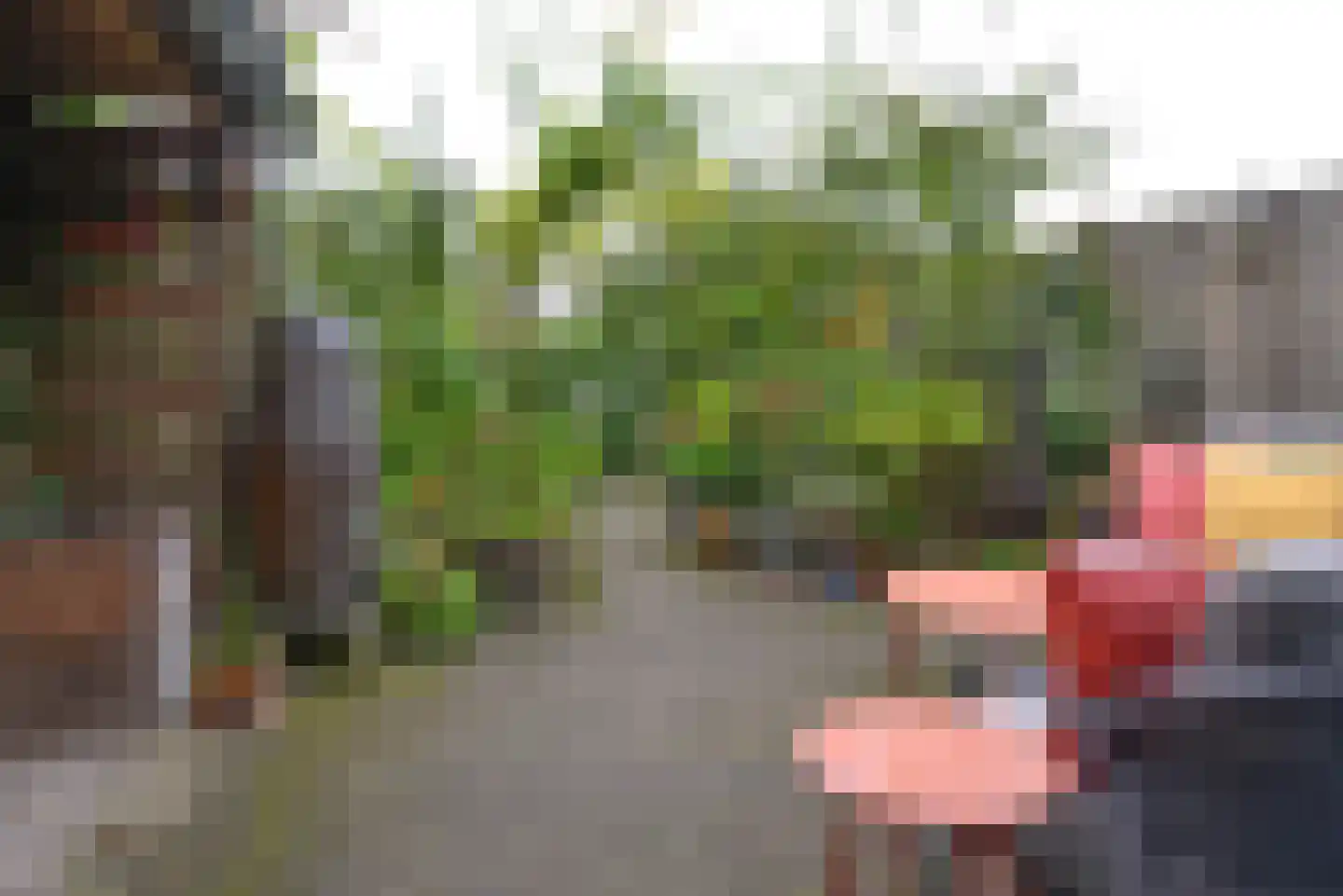 Kastanjelaan 19 A Baarn thumbnail 24