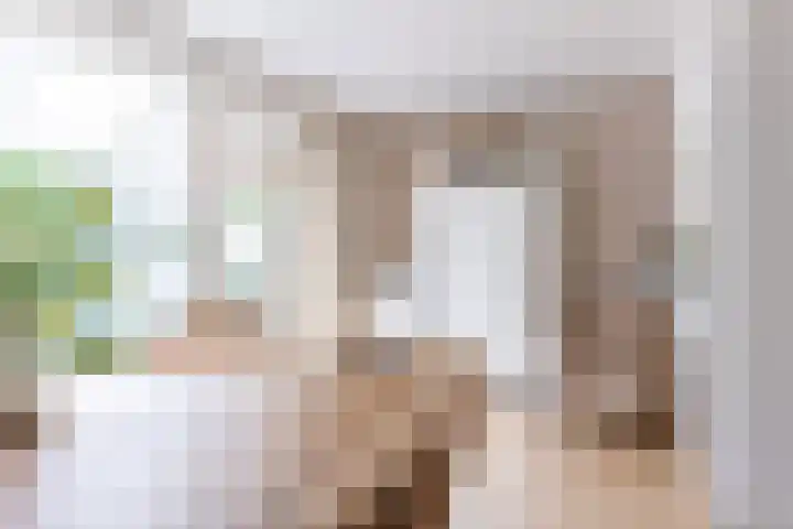 Kastanjelaan 19 Alkmaar thumbnail 17