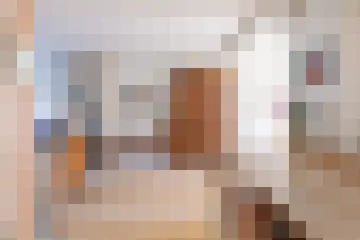 Kastanjelaan 19 Alkmaar thumbnail 20