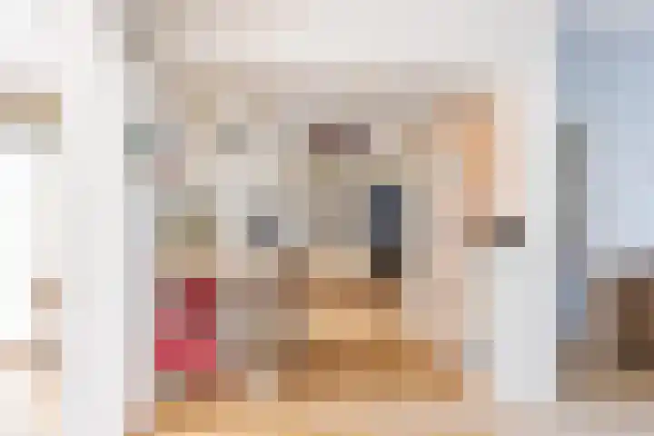 Kastanjelaan 19 Alkmaar thumbnail 21