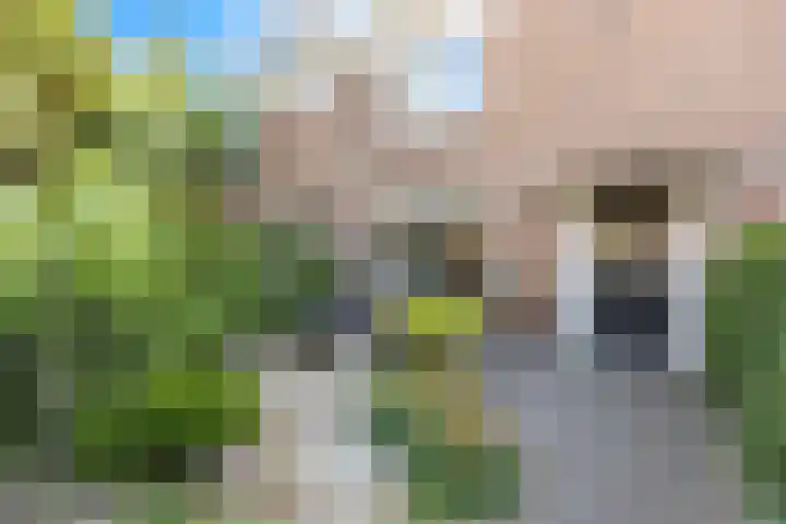 Kastanjelaan 19 Alkmaar thumbnail 4