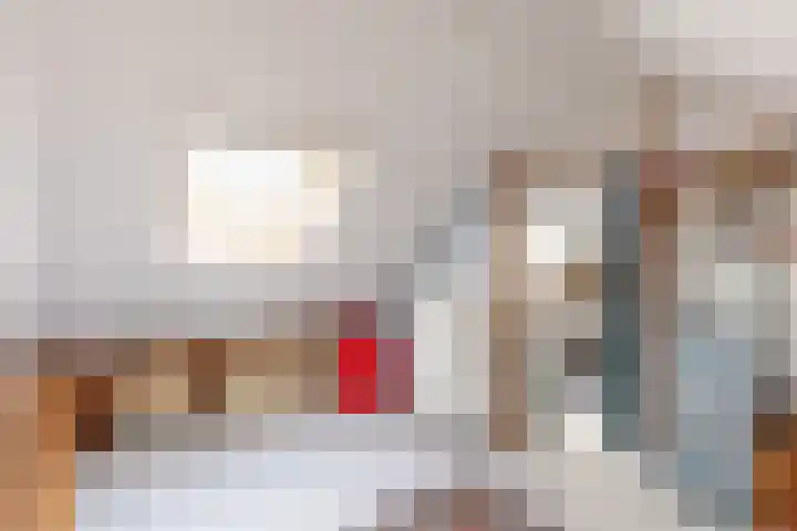 Kastanjelaan 19 Alkmaar thumbnail 42