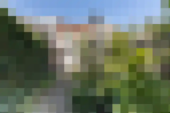 Kastanjelaan 19 Alkmaar thumbnail 44