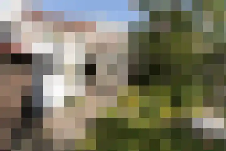 Kastanjelaan 19 Alkmaar thumbnail 45
