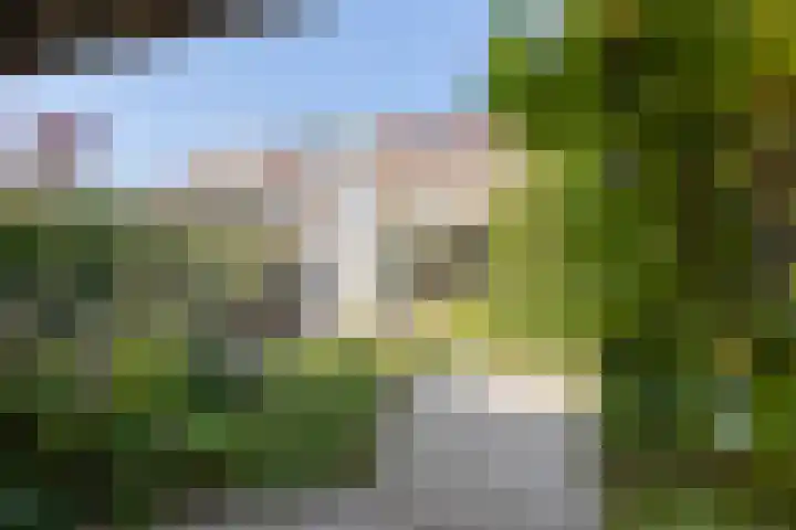 Kastanjelaan 19 Alkmaar thumbnail 46