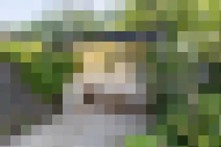 Kastanjelaan 19 Alkmaar thumbnail 48