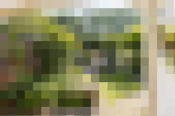 Kastanjelaan 19 Alkmaar thumbnail 51
