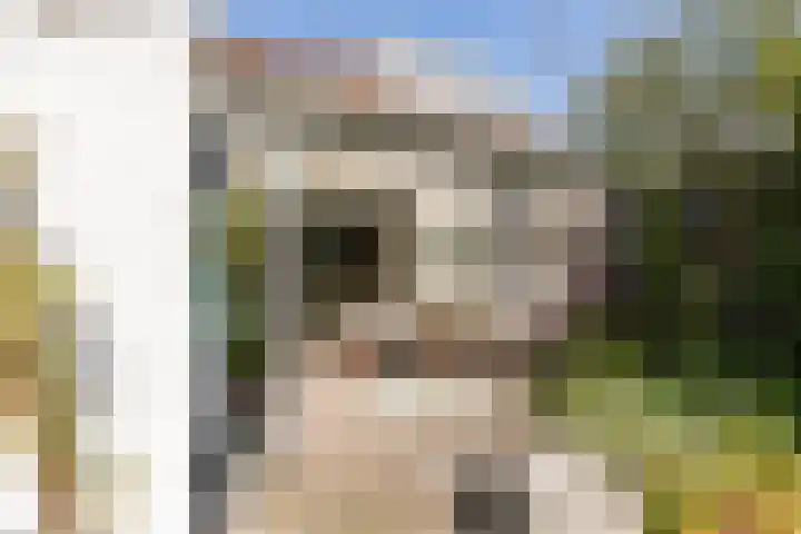 Kastanjelaan 19 Alkmaar thumbnail 52