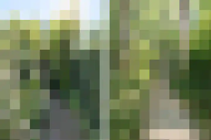Kastanjelaan 19 Alkmaar thumbnail 53