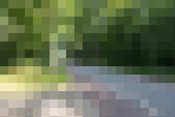 Kastanjelaan 19 Alkmaar thumbnail 54