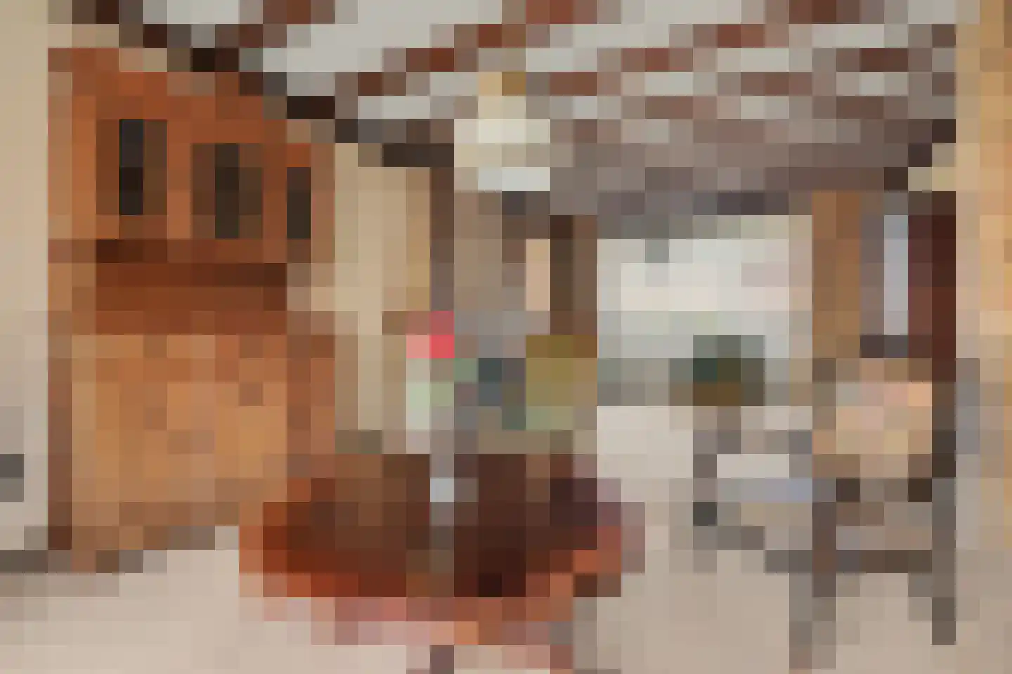 Kastanjelaan 19 Drunen thumbnail 10