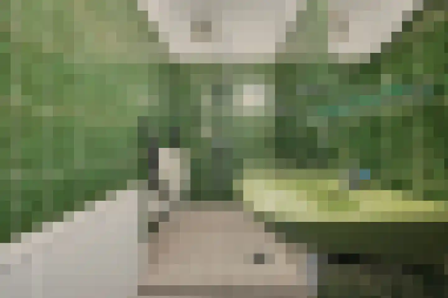 Kastanjelaan 19 Drunen thumbnail 29