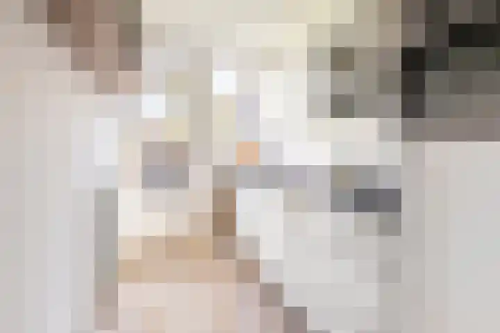 Kastanjelaan 19 Groningen thumbnail 14