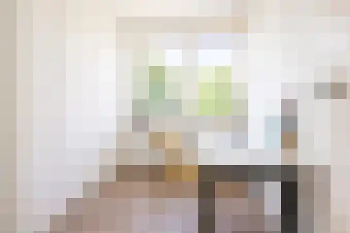 Kastanjelaan 19 Groningen thumbnail 17