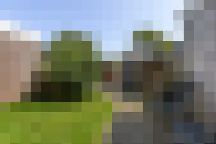 Kastanjelaan 19 Groningen thumbnail 22
