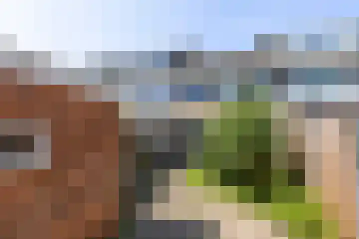 Kastanjelaan 19 Groningen thumbnail 23
