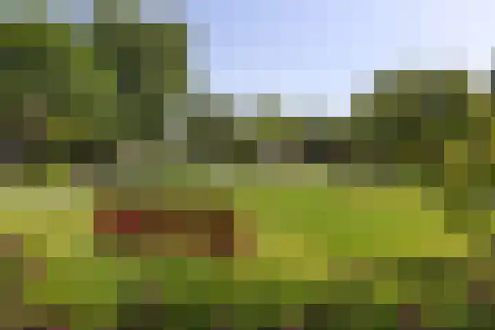 Kastanjelaan 19 Groningen thumbnail 25