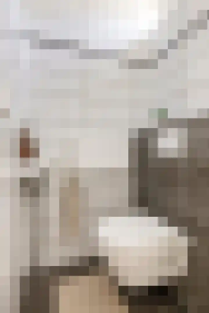 Kastanjelaan 19 Groningen thumbnail 5