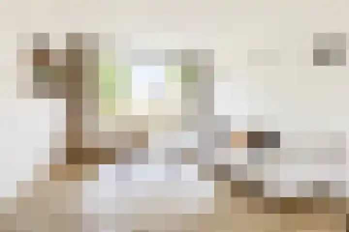 Kastanjelaan 19 Groningen thumbnail 6
