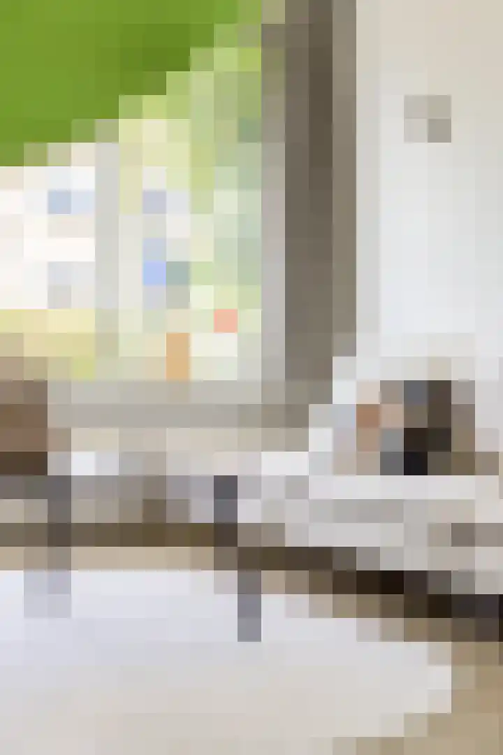 Kastanjelaan 19 Groningen thumbnail 8