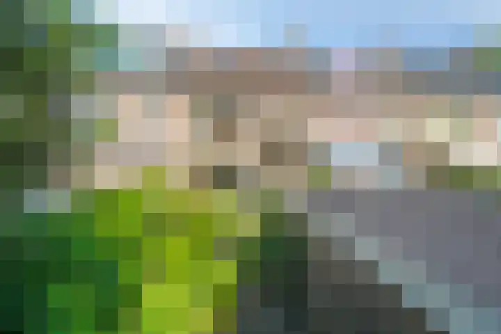 Kastanjelaan 19 Soest thumbnail 24