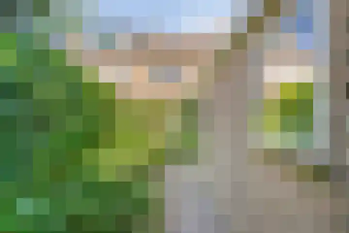 Kastanjelaan 19 Soest thumbnail 26