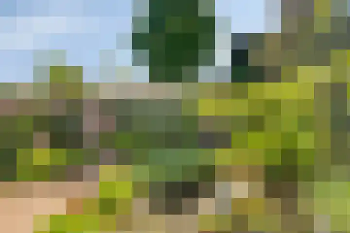 Kastanjelaan 19 Soest thumbnail 27