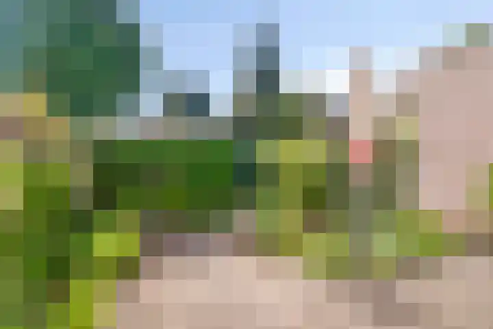 Kastanjelaan 19 Soest thumbnail 28