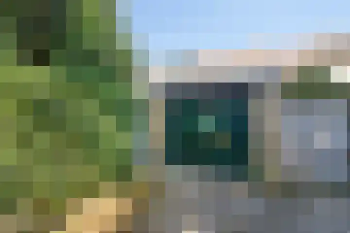 Kastanjelaan 19 Soest thumbnail 29
