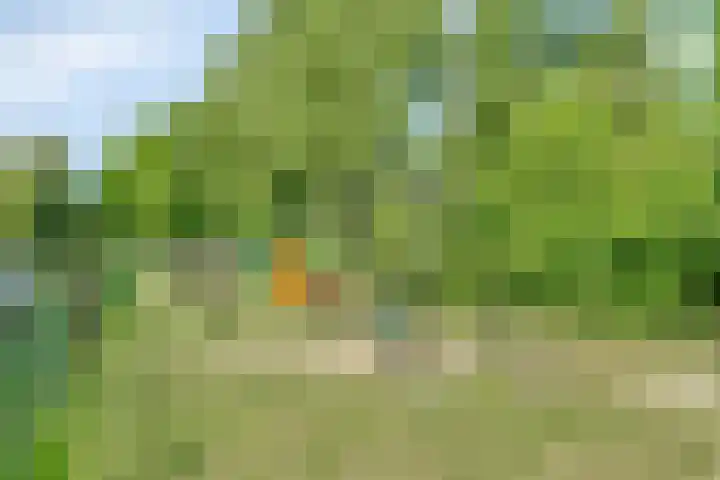 Kastanjelaan 19 Soest thumbnail 31