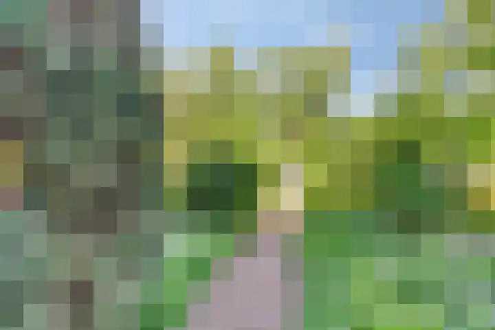 Kastanjelaan 19 Soest thumbnail 34