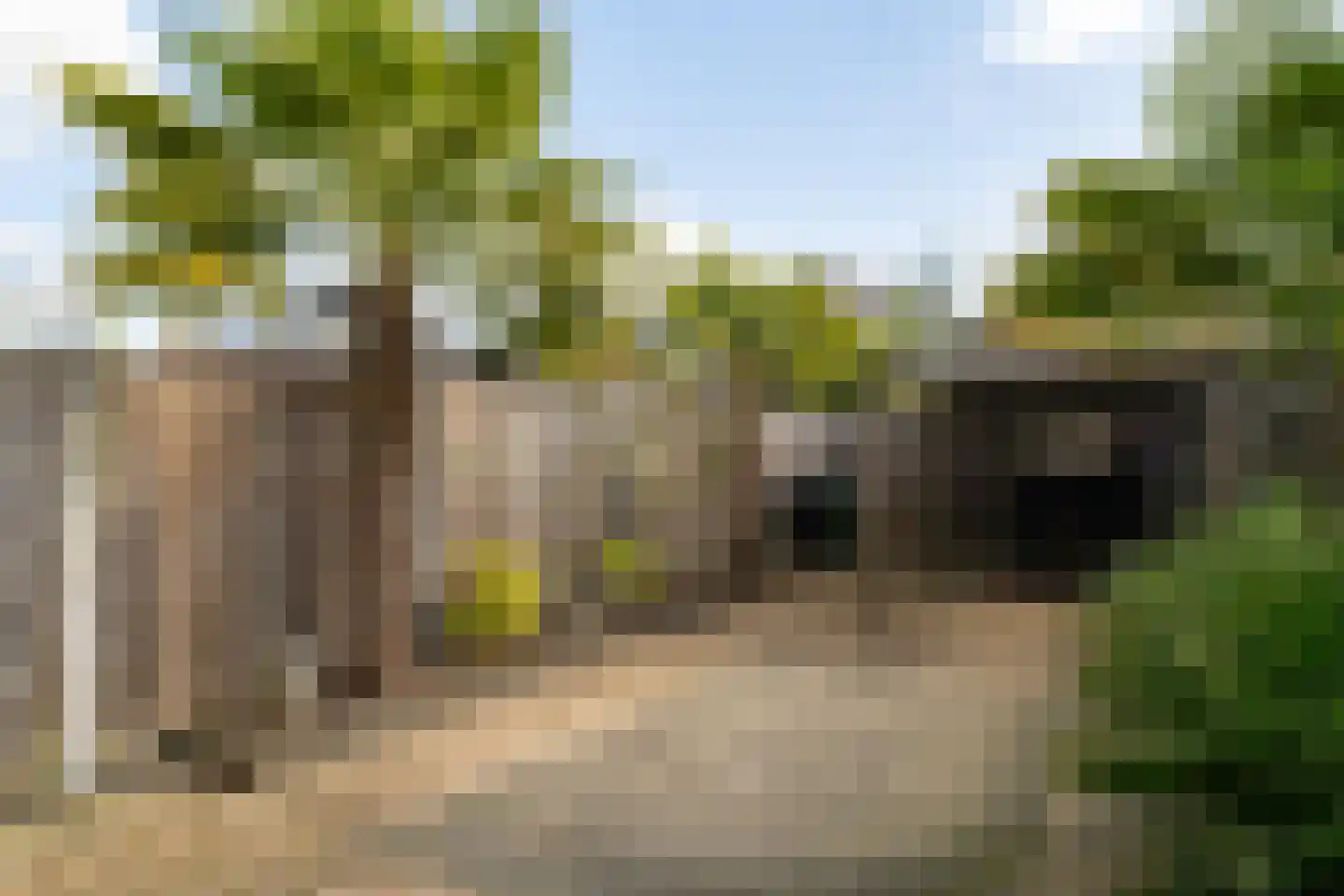 Kastanjelaan 19 Woudrichem thumbnail 24