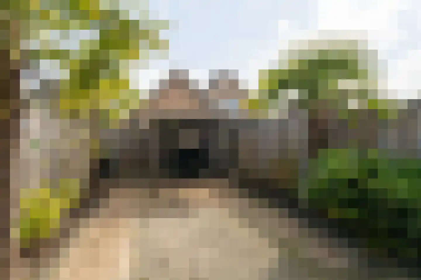 Kastanjelaan 19 Woudrichem thumbnail 25