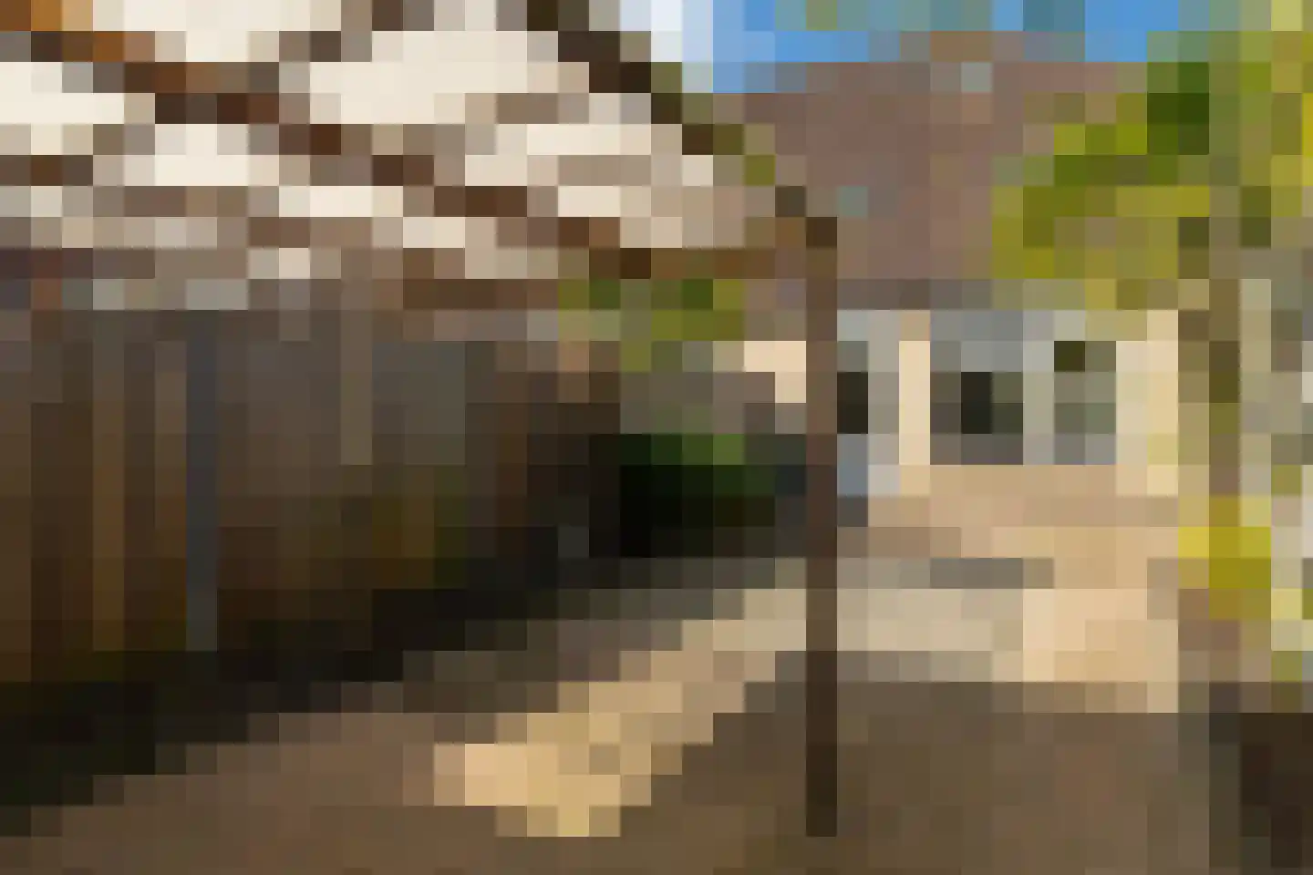 Kastanjelaan 19 Woudrichem thumbnail 26
