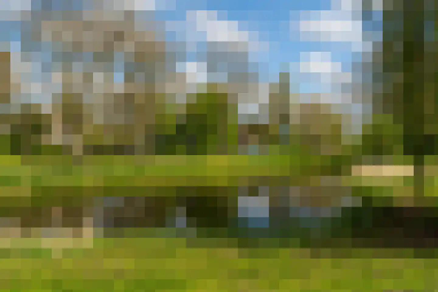 Kastanjelaan 19 Woudrichem foto 3