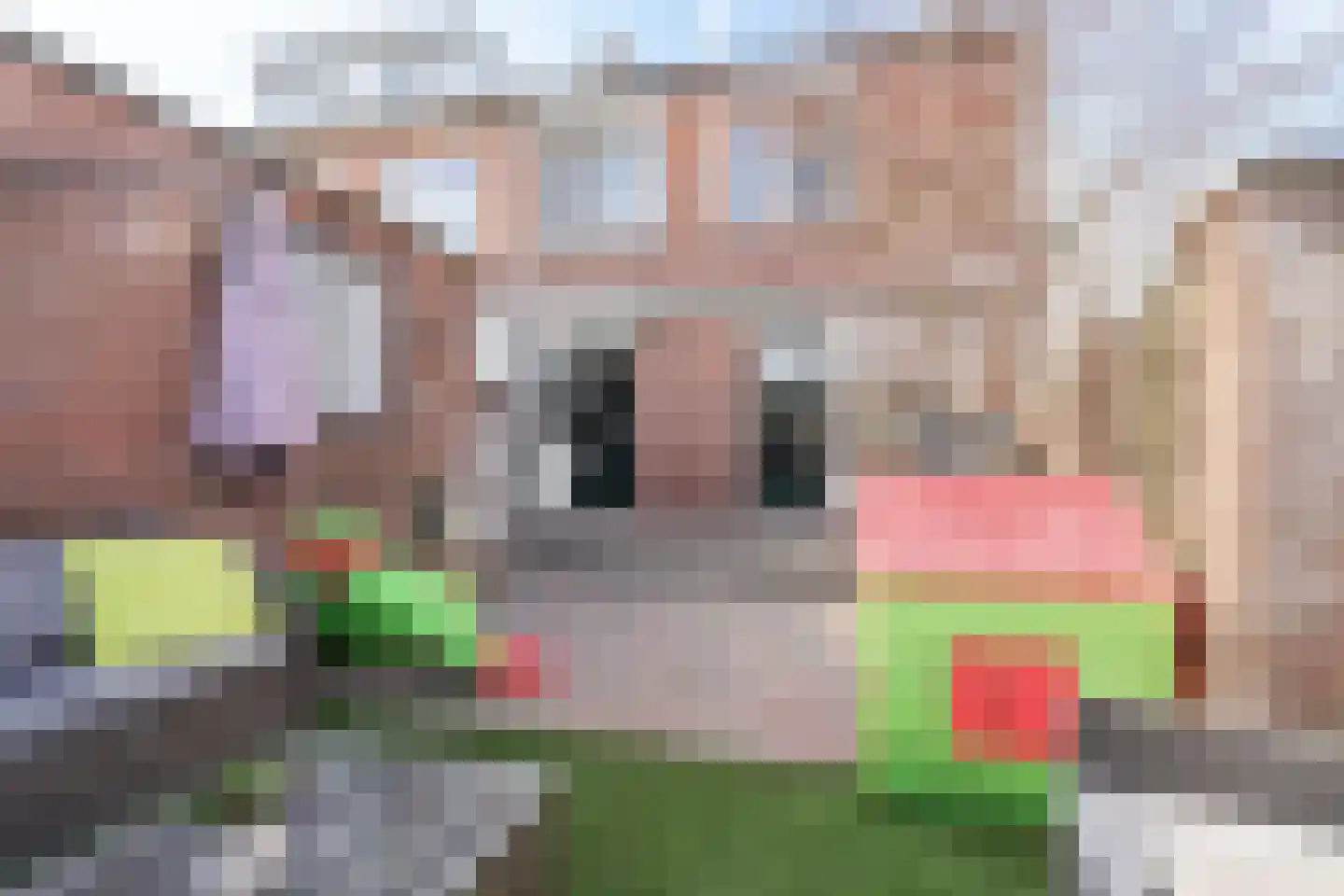 Kastanjelaan 192 Bergen op Zoom thumbnail 22