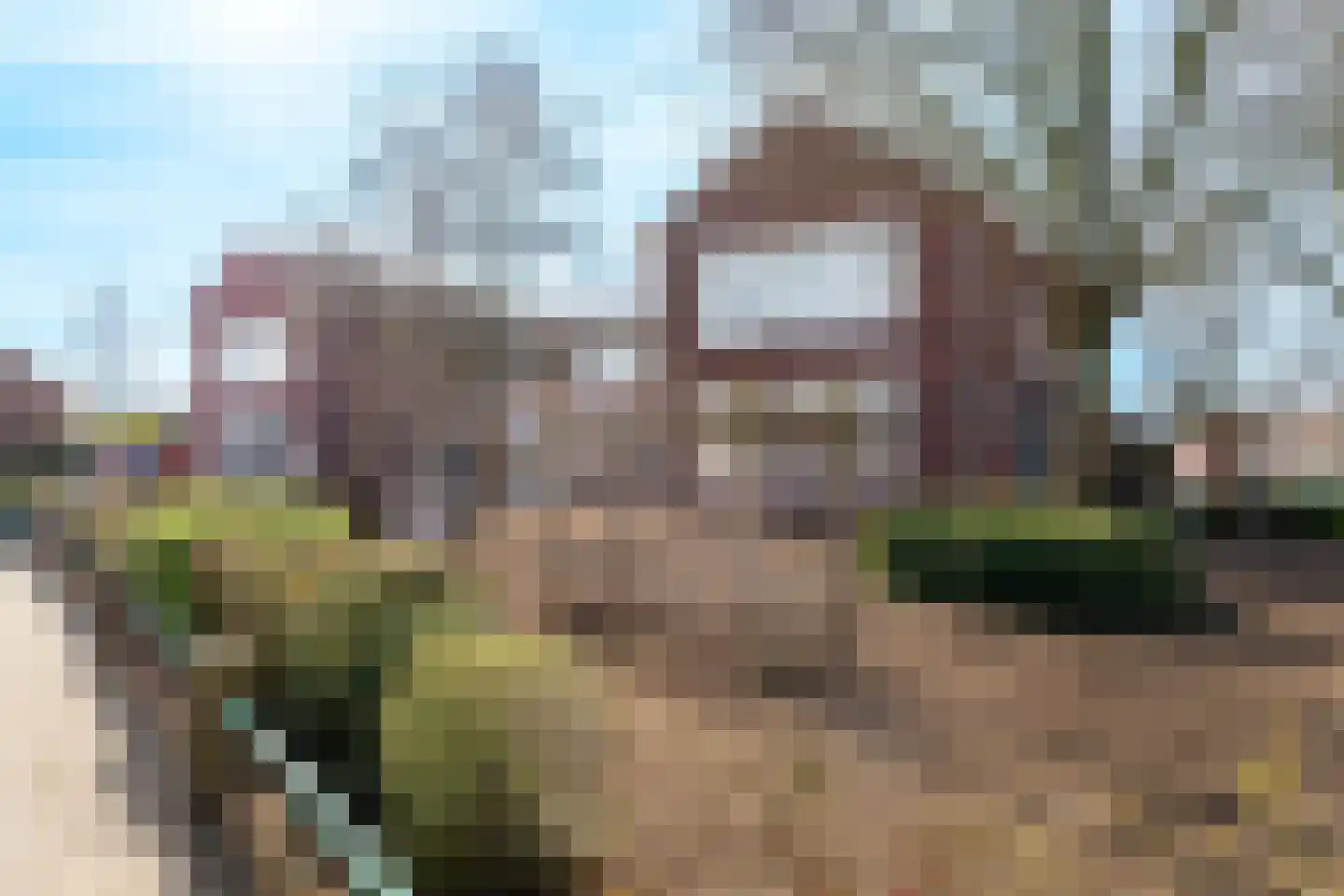 Kastanjelaan 192 Bergen op Zoom thumbnail 25